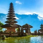Indonesia Secures Major Victory with US Tariff Exemptions for Palm Oil, Cocoa, and Rubber Exports