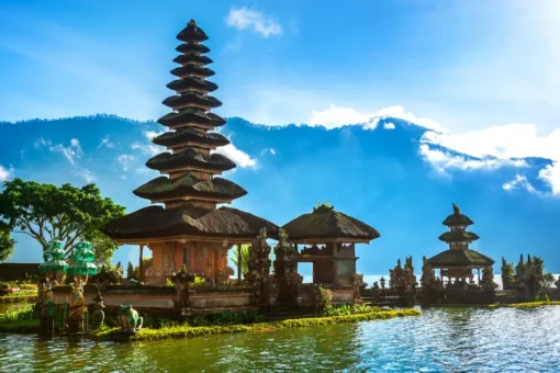 Indonesia Secures Major Victory with US Tariff Exemptions for Palm Oil, Cocoa, and Rubber Exports Indonesia Secures Major Victory with US Tariff Exemptions for Palm Oil, Cocoa, and Rubber Exports